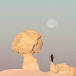 Adventures in the White Desert