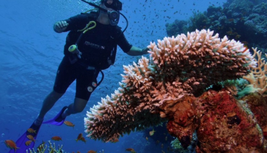 Diving into the Depths: Exploring Egypt’s Underwater Paradise