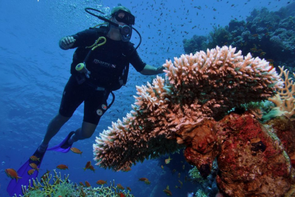 Diving into the Depths: Exploring Egypt’s Underwater Paradise