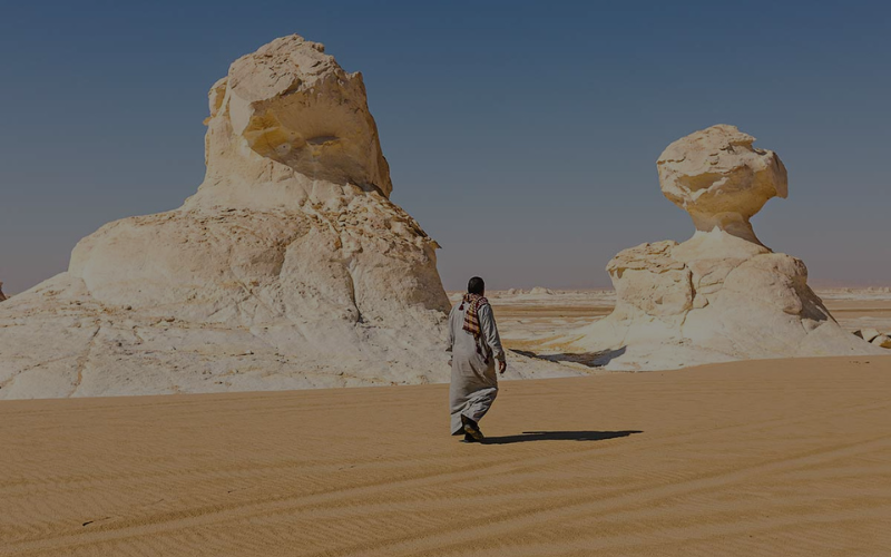 Bahariya Oasis