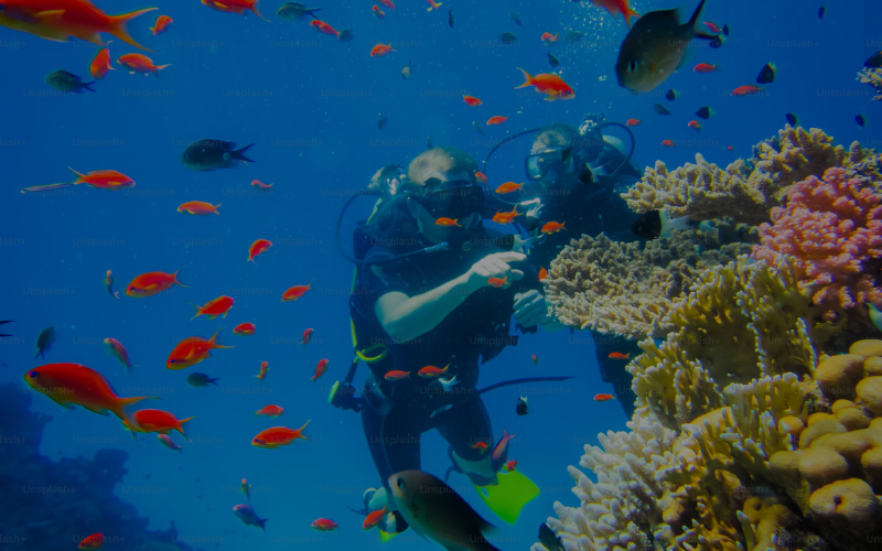 Sharm el Sheikh