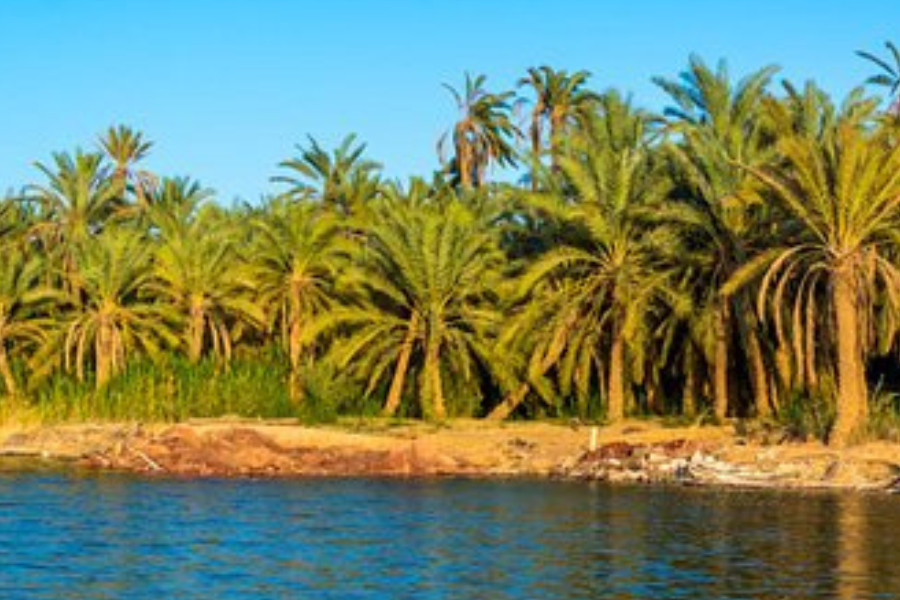 5 Days – 4 Nights Siwa